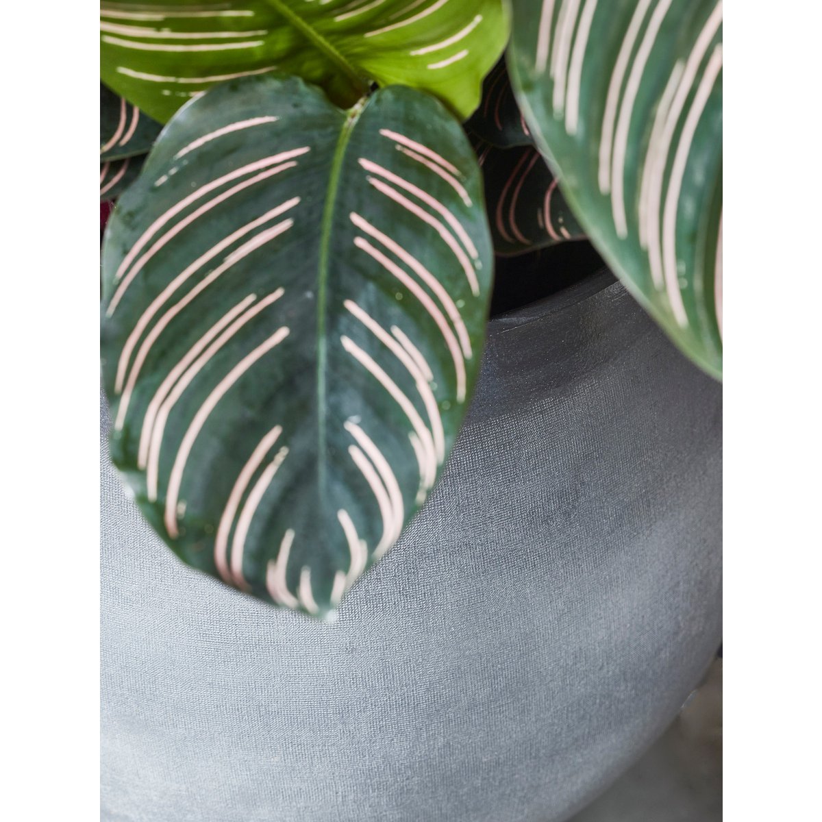 Douro Flowerpot - H23 x Ø 26 cm - Terracotta - Light Grey