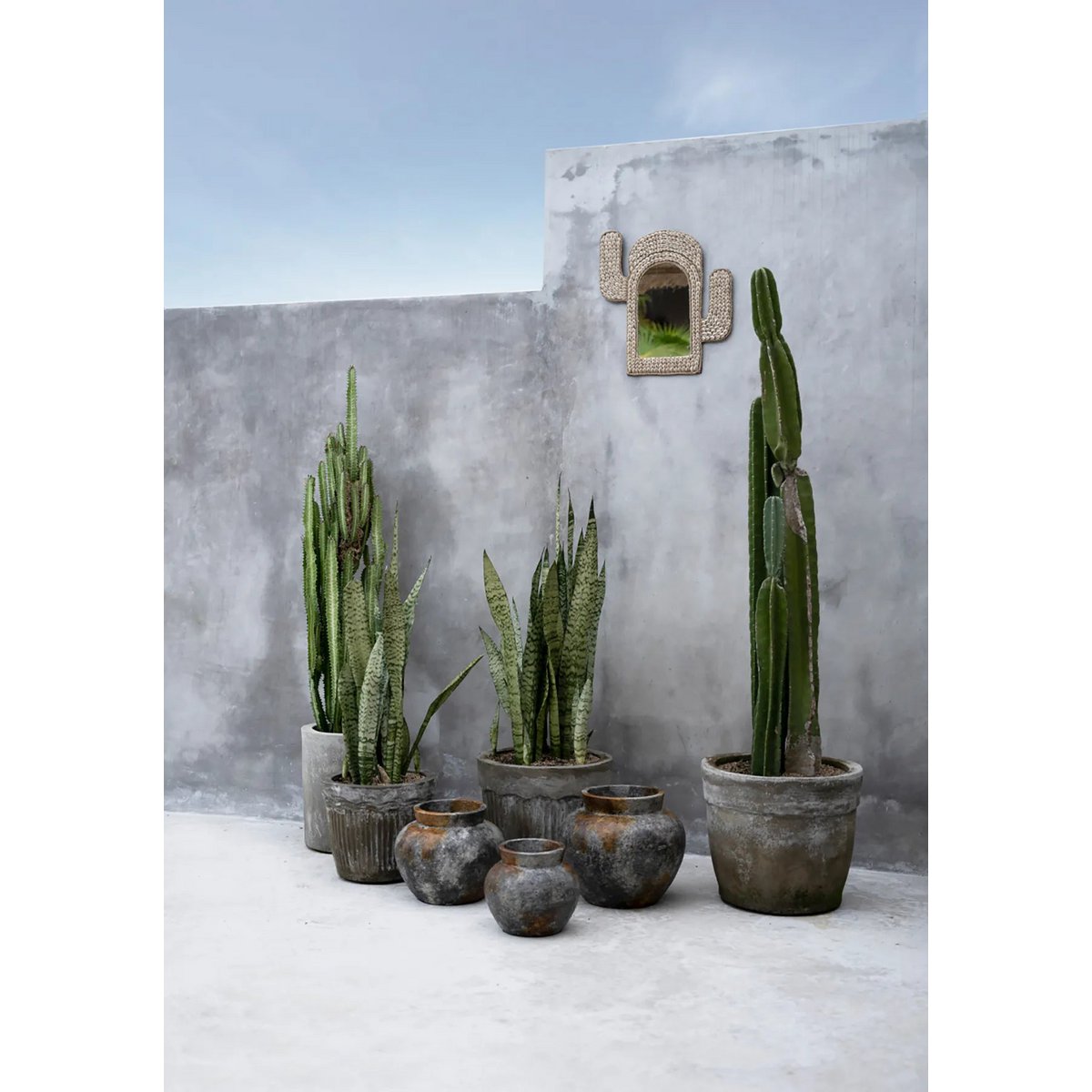 De Cactusschelp spiegel - Wit