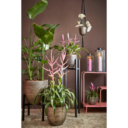 Arzilla Lantaarn - Zwart L14 x B13 x H35 cm |woon-meubel.nl