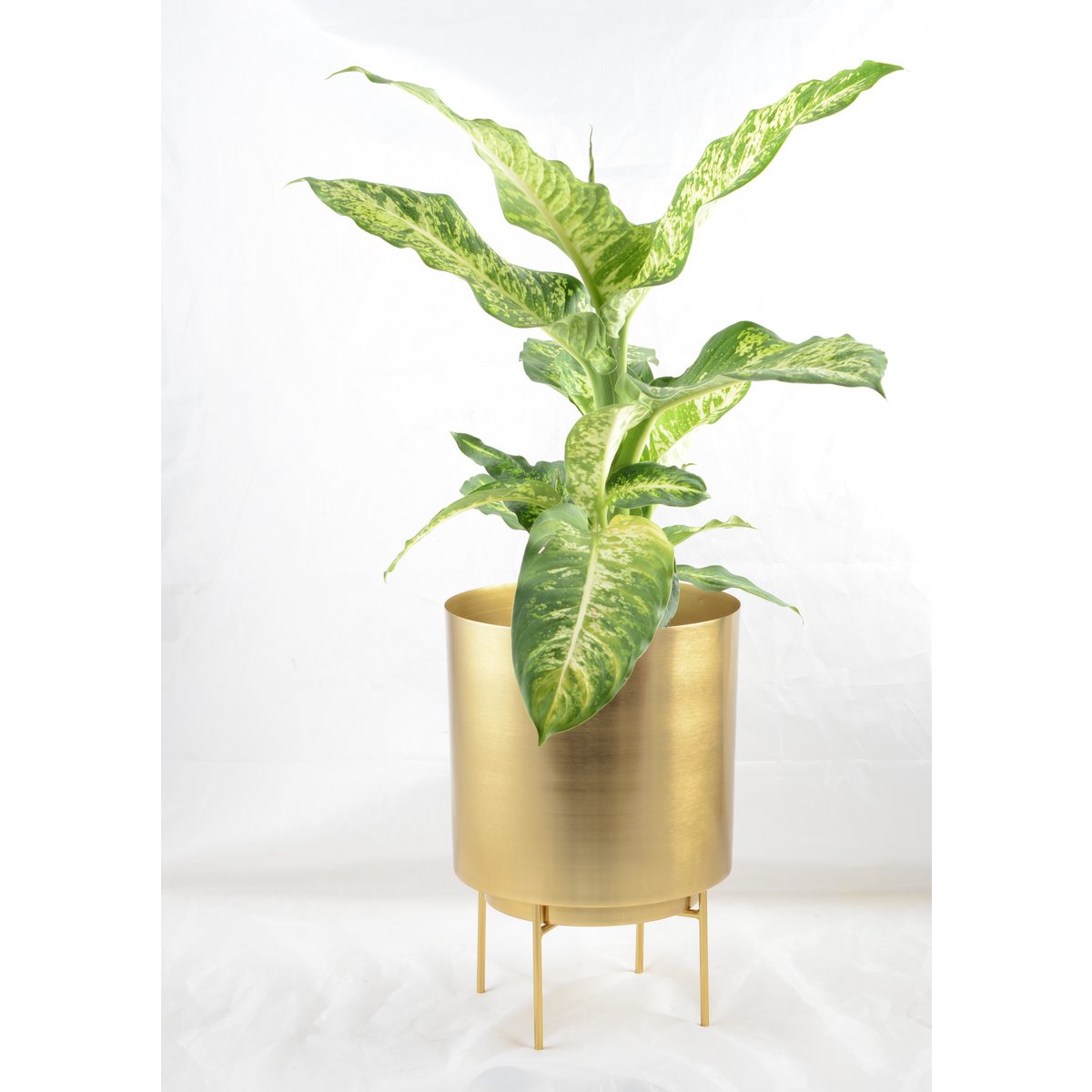 Aulica Cache plantenpot Goud – Groot Model |woon-meubel.nl