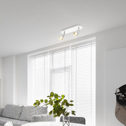 LED Surface-mounted spotlight Alba 2L - dimmable - brushed steel