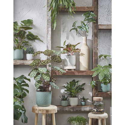 Daan Bloempot Groen - H18 x Ø19 cm|woon-meubel.nl