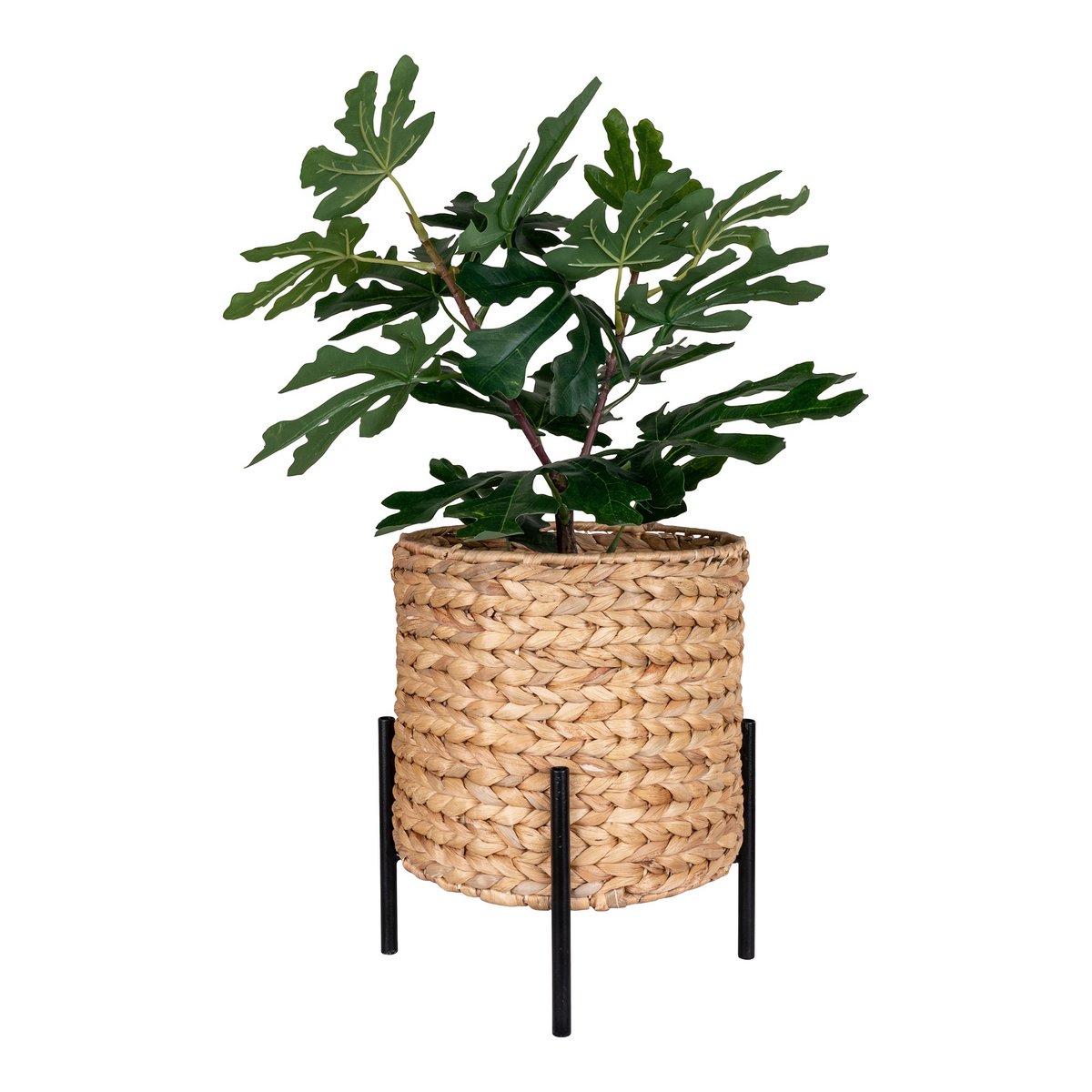 aterhyacint en Zwart Metaal | House Nordic | woon-meubel.nl