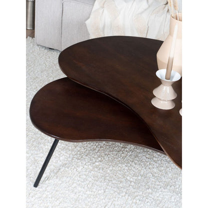 Salontafel Ludo Bruin mangohout  – Organisch Set van 2 |woon-meubel.nl