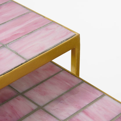 Aaron Bijzettafel Gouden Pootjes Roze- Set van 2 |woon-meubel.nl