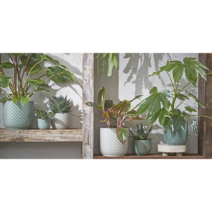 Daan Bloempot - H18 x Ø19 cm - Wit |woon-meubel.nl