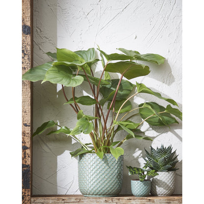 Daan Bloempot Groen - H18 x Ø19 cm|woon-meubel.nl